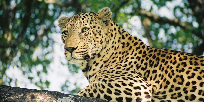 One Powerful Day vs Multi-Day Exploration