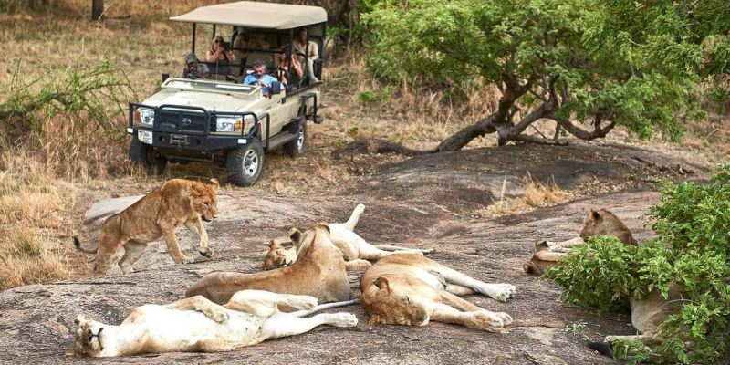 December to March – Witness Nature’s Drama