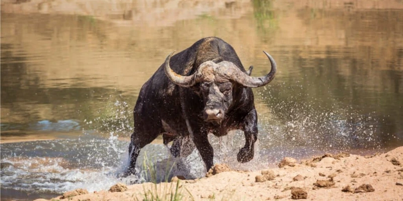 March to May & November – Quiet Luxury and Lush Landscapes