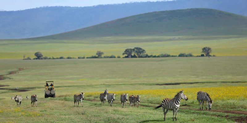 Peak Season ( July – September)