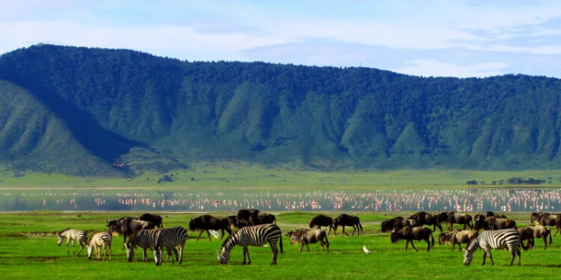 Optimal Weather Conditions ( January – March & June – September)