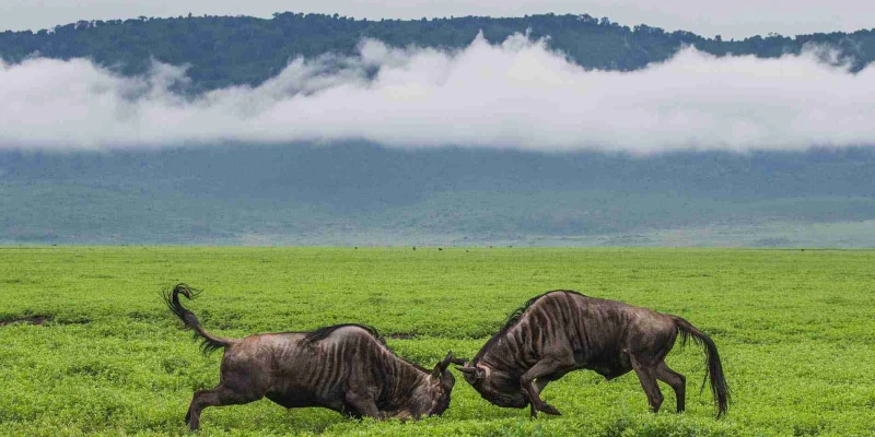 Off-Peak Season ( April – May)