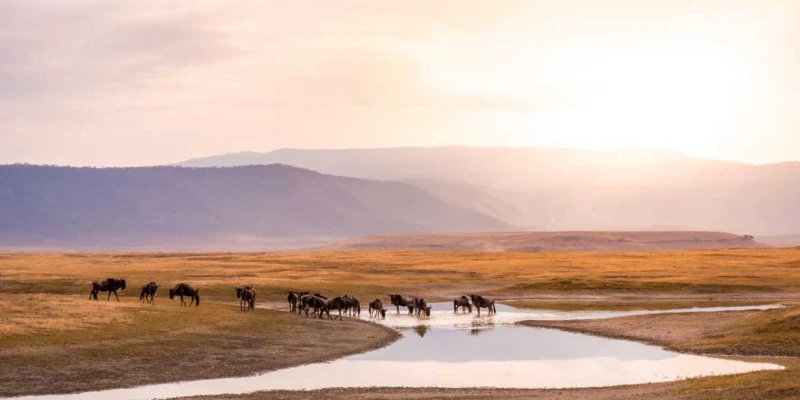 Challenging Weather Periods ( April & Early May)