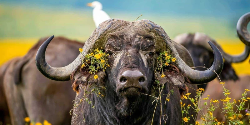 Choosing the Right Time for You