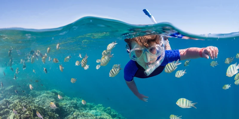 Beaches and Coastal Adventures