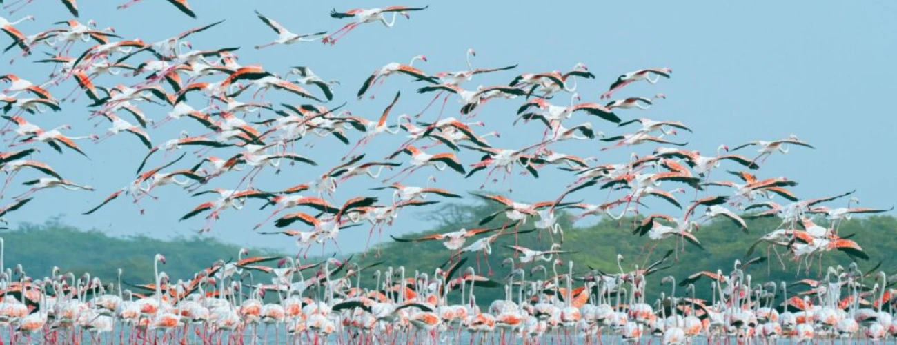 Essential Experiences for Your Arusha Adventure