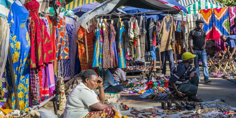 Expert Advice from JustGoSafari