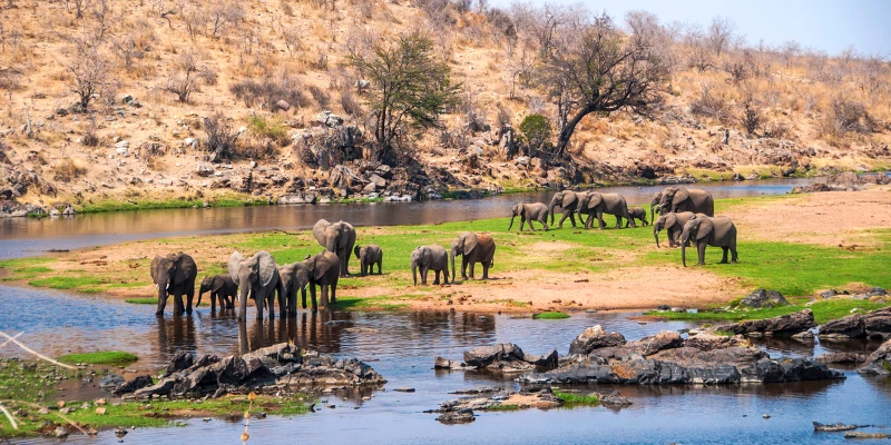 Ruaha National Park