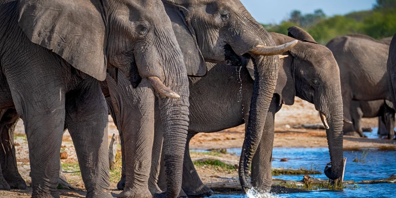 Lake Manyara National Park
