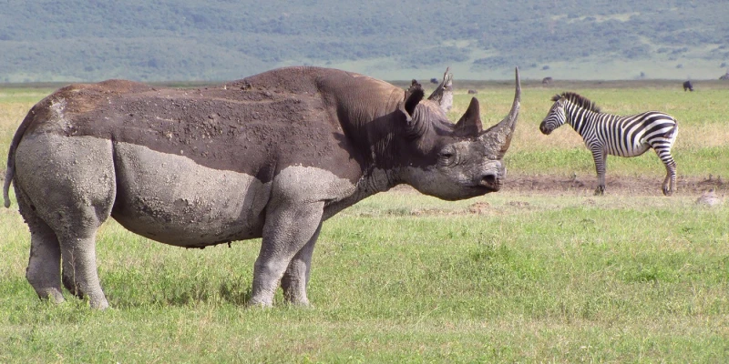 Why January to March Feels Different