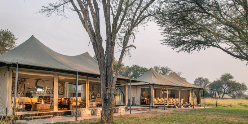 Best Camps with Balloon Safari Access in the Serengeti