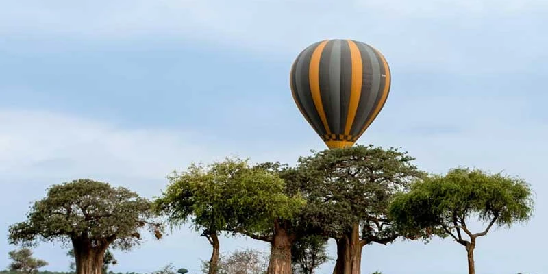 Tarangire National Park