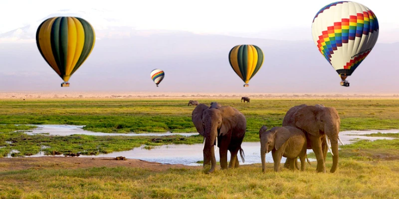 Why Balloon Safaris Matter
