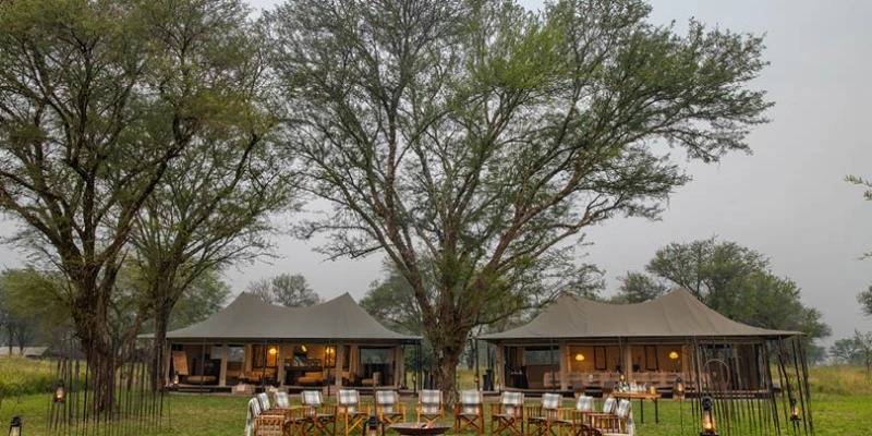 3. Lamai Wedge, Northern Serengeti – August to September