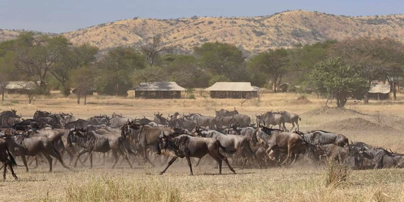 Why Choose Hidden Crossing Spots