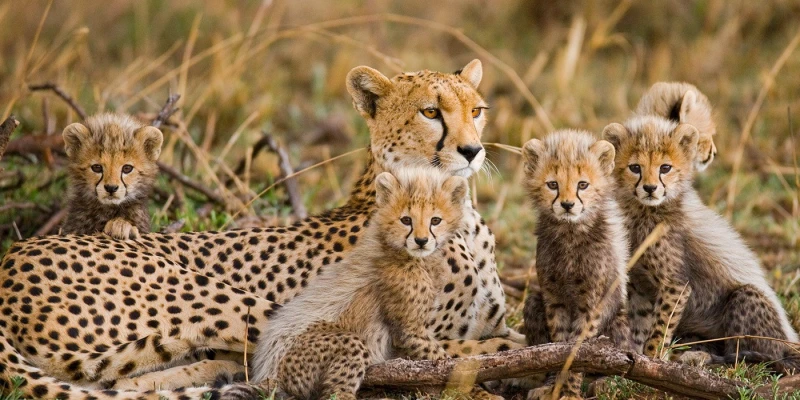 How Long Should You Stay?