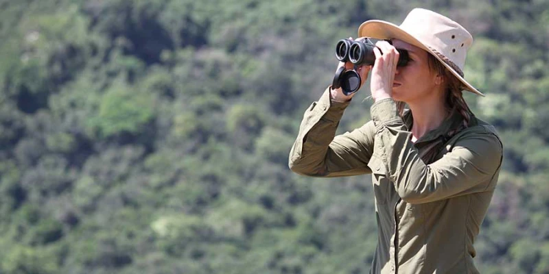 Packing Essentials for Your Migration Safari