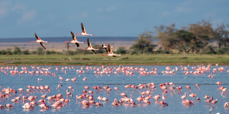 Lake Ndutu