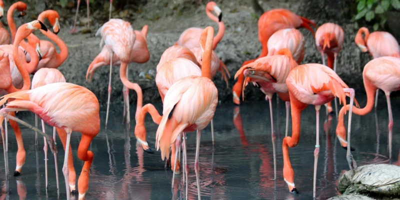 Momella Lakes – Arusha National Park