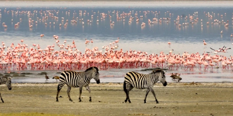 Lake Manyara National Park