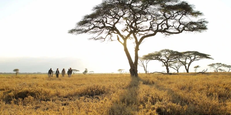 Is a Walking Safari Safe in Tanzania