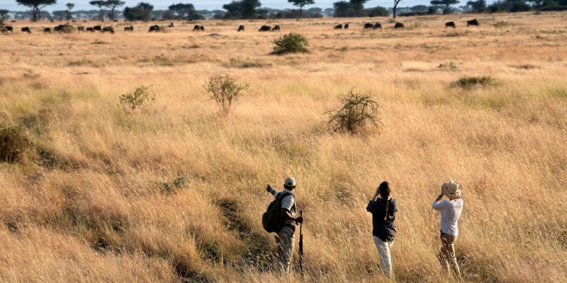 What to Pack for a Walking Safari
