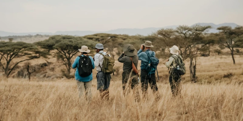 Best Time for Walking Safaris in Tanzania