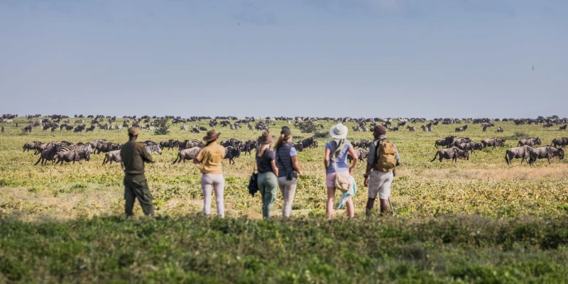 Why Walk with Just Go Safaris