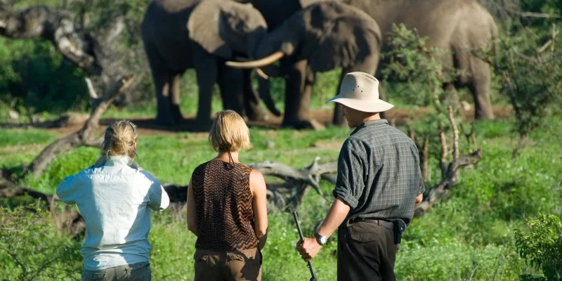 Nyerere National Park