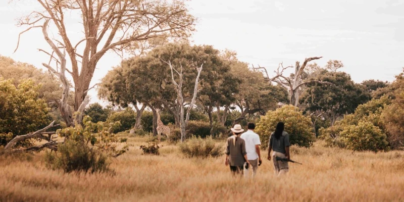 Planning a Walking Safari in Tanzania