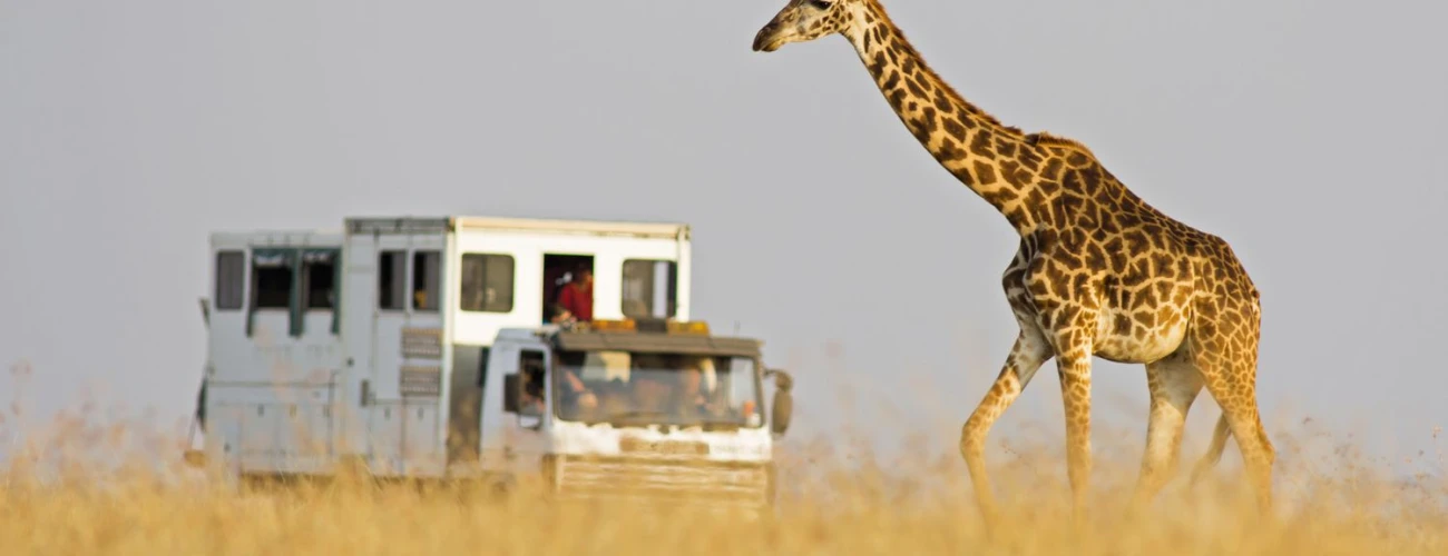 Is It Safe to Go on Safari in Tanzania?