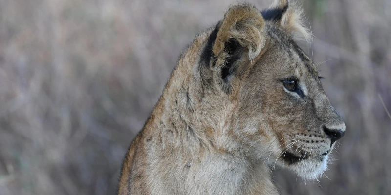 3. Health and Medical Safety