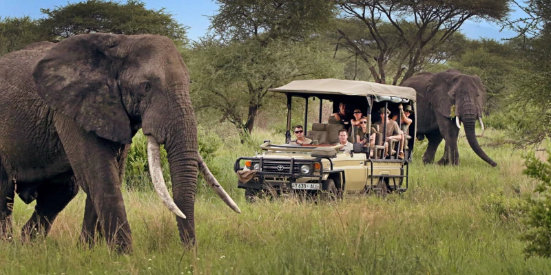 2. Road and Transport Safety