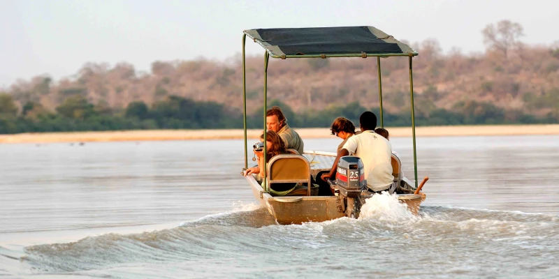 Safari Experiences in Ruaha and Nyerere