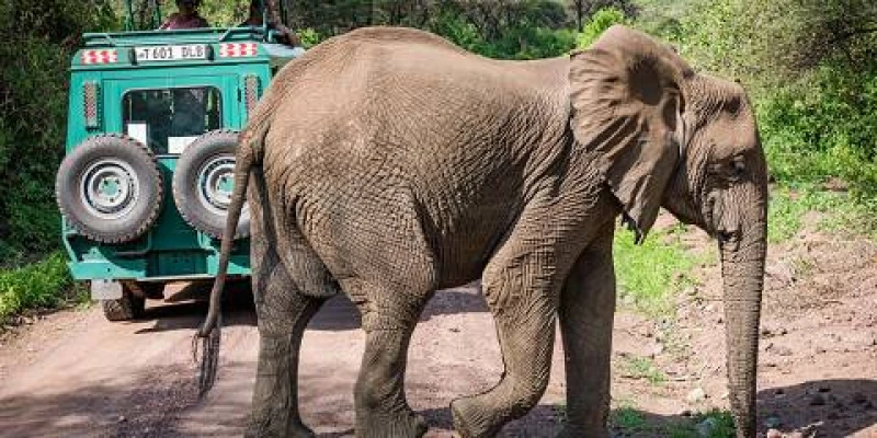 1. The Timeless Northern Odyssey