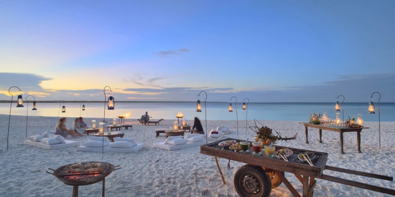 6. Love in the Wild & Beyond