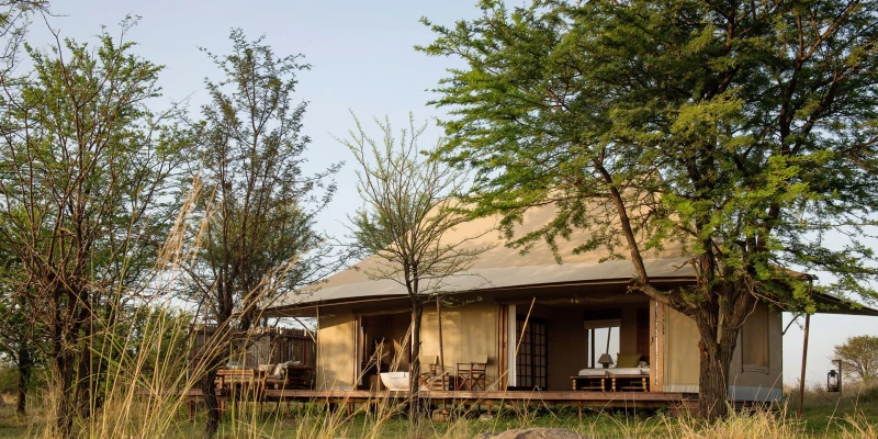 4. Choose the Right Serengeti Lodges & Camps