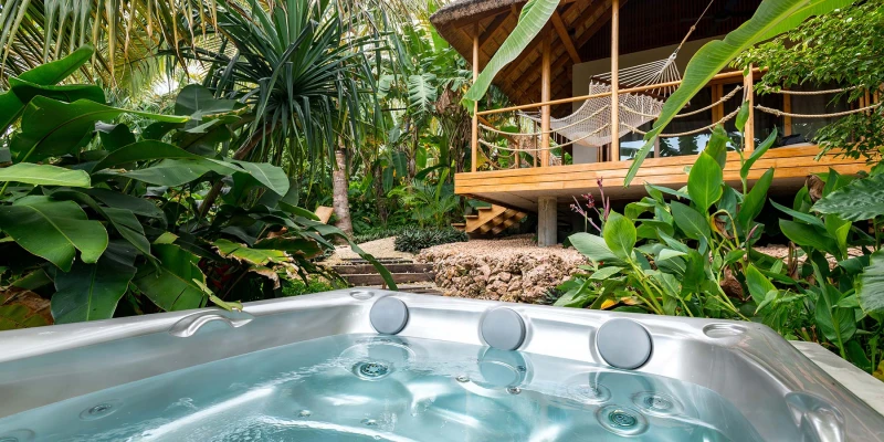 JustGo Safaris Perspective