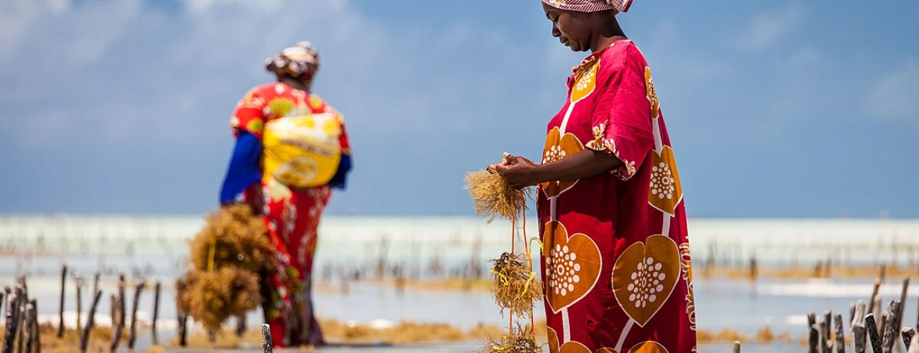 Top Activities in Zanzibar- Experiences Beyond the Beach