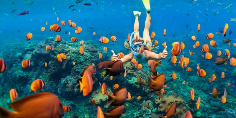 Snorkeling and Diving in Pristine Waters
