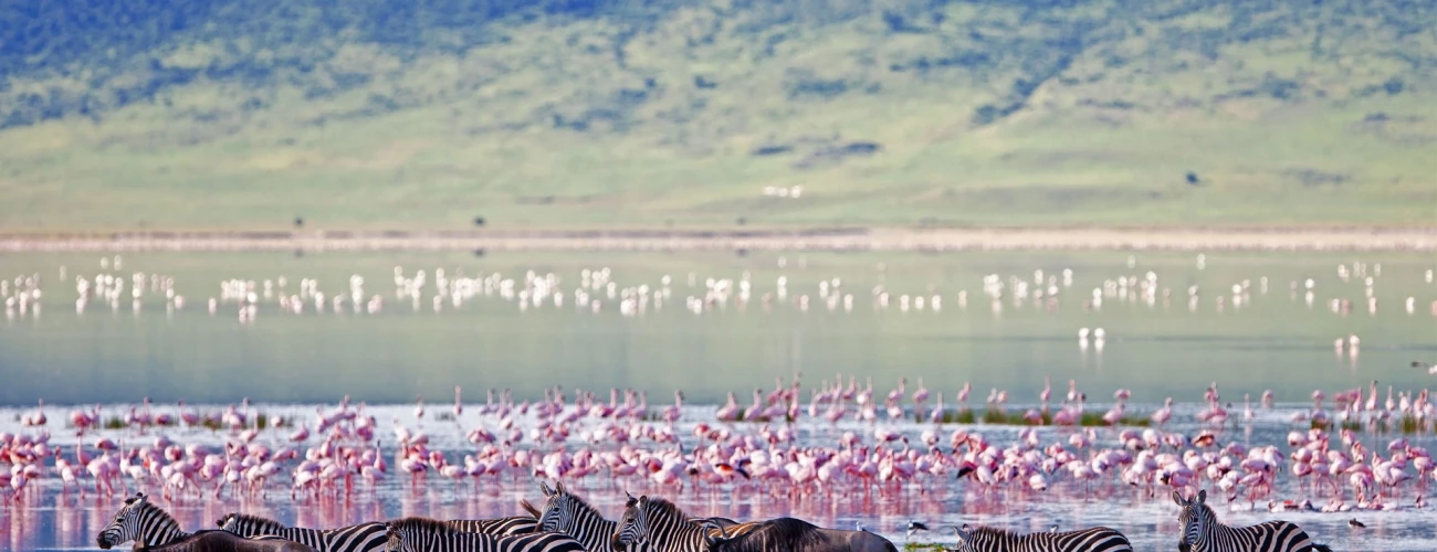 Why Ngorongoro Crater Is a Must-Visit Once in a Lifetime