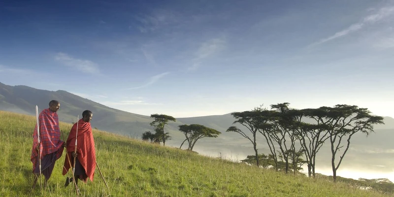 Wildlife, Culture & Conservation Combined