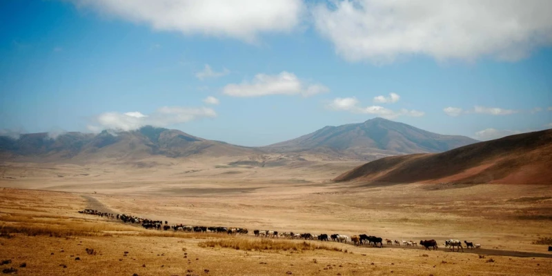 Our Expert Take from Justgo Safaris