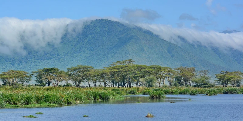 Plan Your Ngorongoro Experience with Justgo Safaris