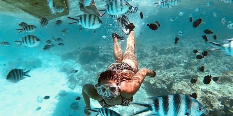 Snorkeling & Island Escapes at Mnemba Atoll