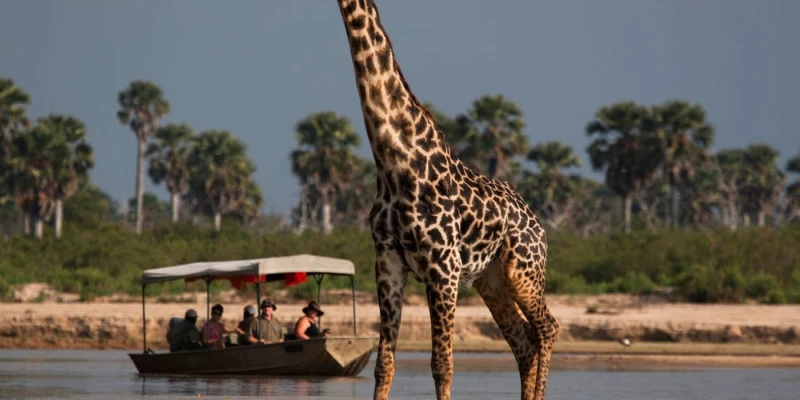 The Best Option? Combine Both