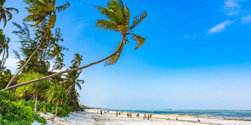 Final Word from Justgo Safaris