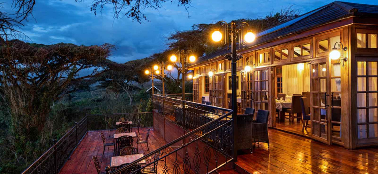 Ngorongoro Lions Paw