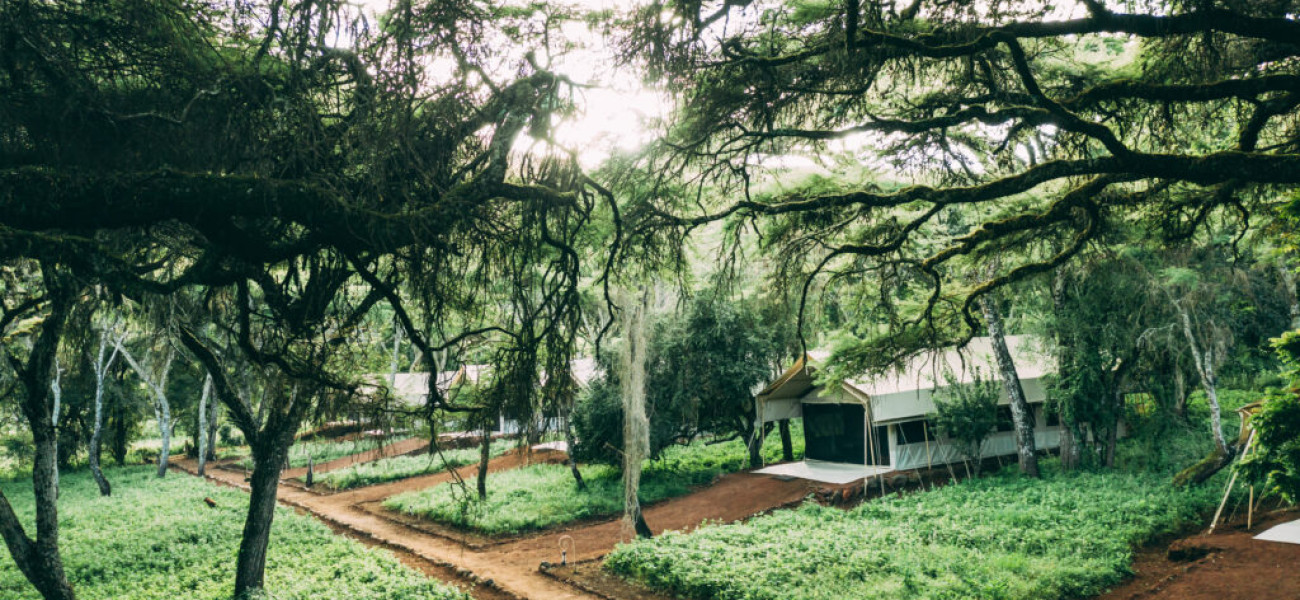 Ngorongoro Tortilis Camp