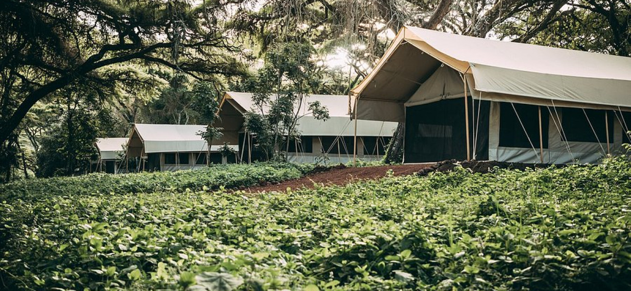 Ngorogoro Tortilis Camp